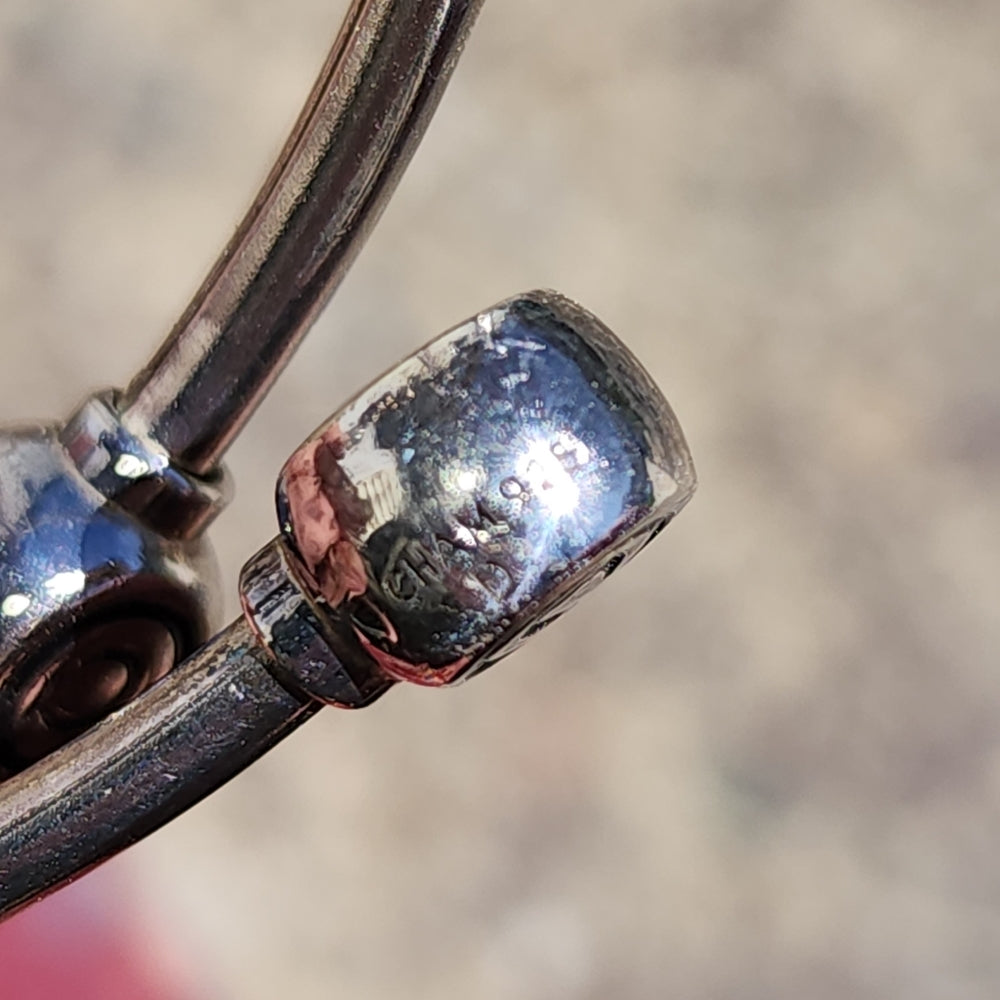 Vintage Chamilia Cham sterling silver charm bracelet with charms