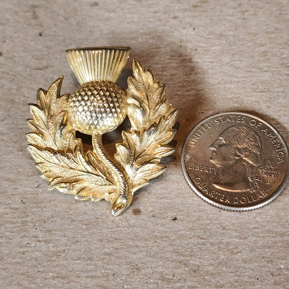 Scottish thistle barrette badge pin brooch