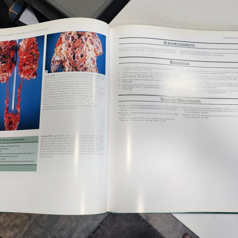Book Atlas of infectious diseases urinary tract and female pelvis volume 9 1X