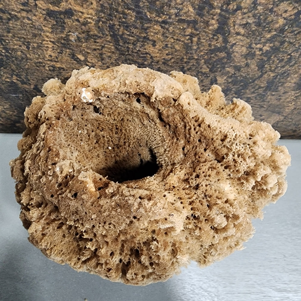 Natural Sea Sponge Hypoallergenic antibacterial environmentally friendly huge