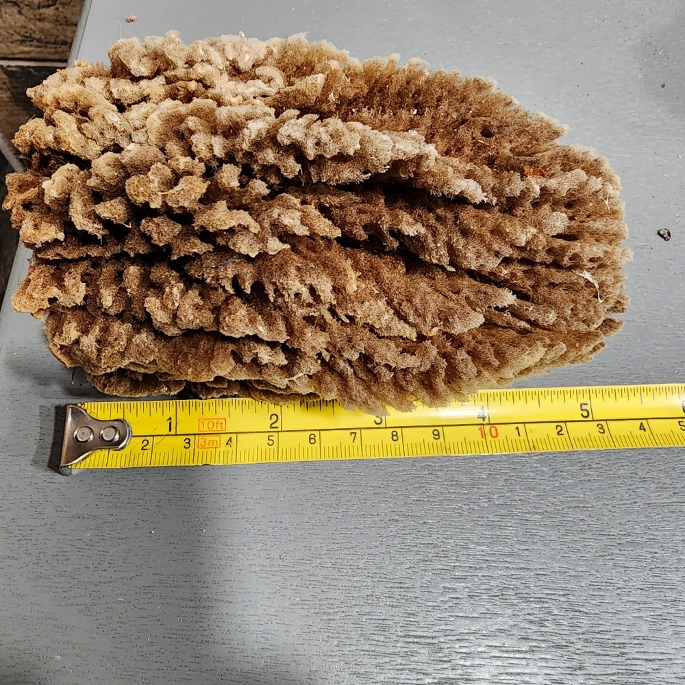 Bundle lot Natural Sea Sponges Environmentally friendly antibacterial Nutrients