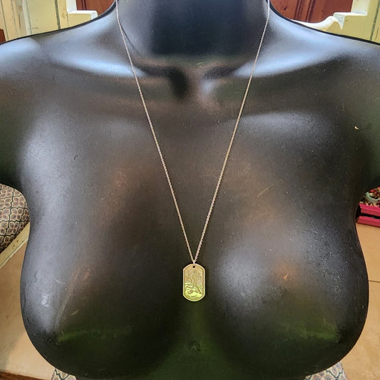Sterling silver Tiffany & Company necklace with pendant 2013 Nike NWM Washington
