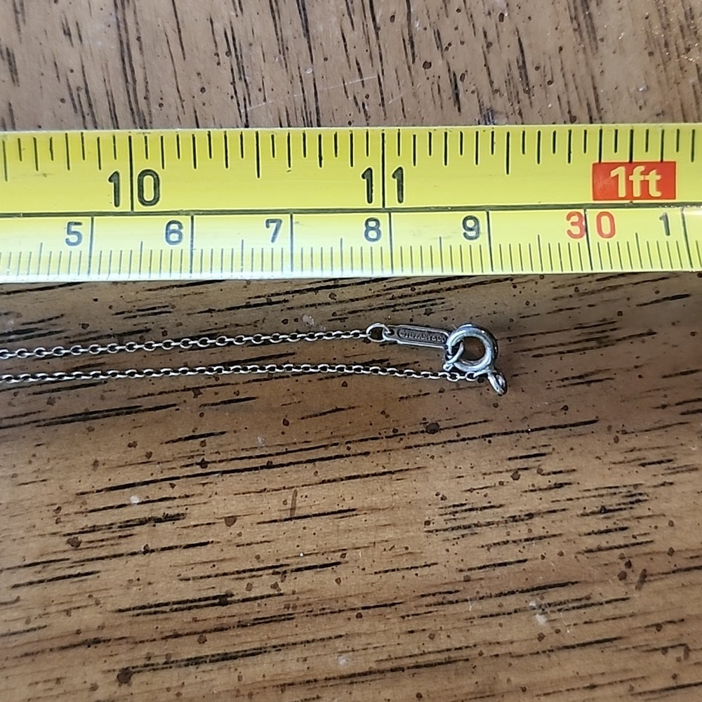 Sterling silver Tiffany & Company necklace with pendant 2013 Nike NWM Washington