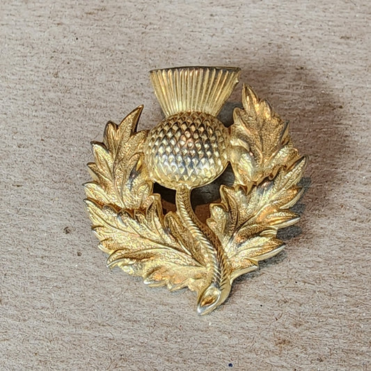 Scottish thistle barrette badge pin brooch