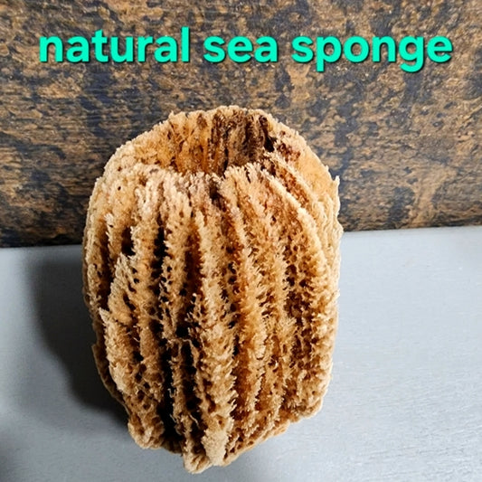 Natural Ocean Sea sponge Environmentally friendly antibacterial hyoallergenic