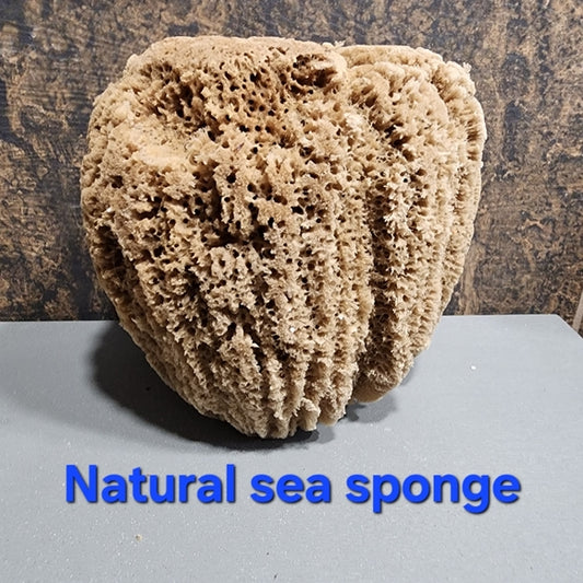 Natural Sea Sponge Hypoallergenic antibacterial environmentally friendly huge
