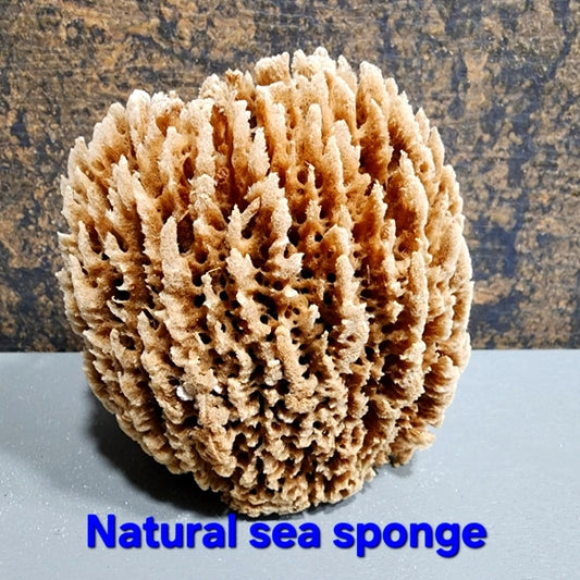 Natural antibacterial hypoallergenic nutrients Sea Sponge exfoliate organic